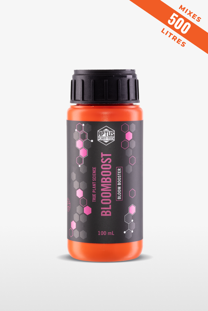 Bloomboost