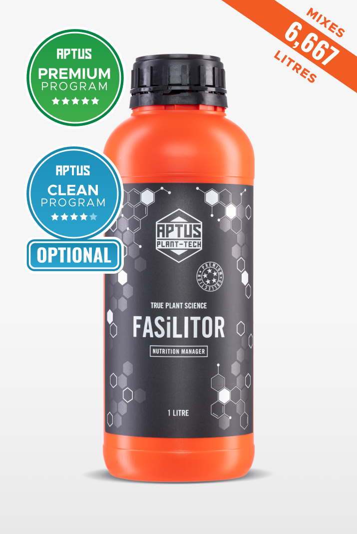 Fasilitor