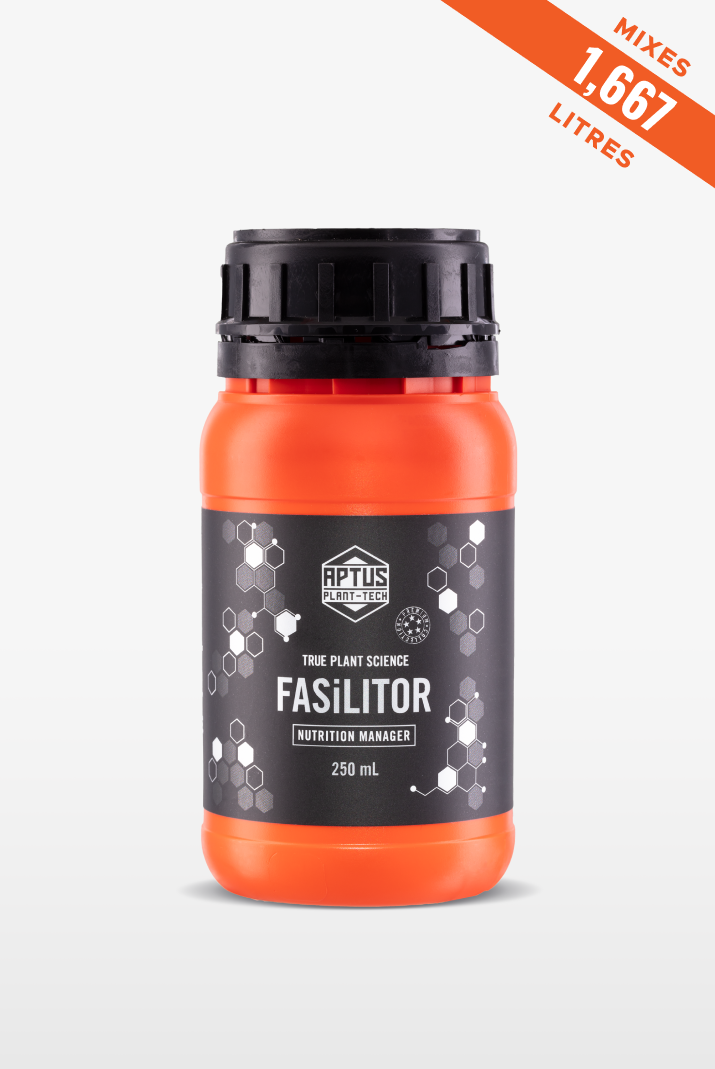 Fasilitor