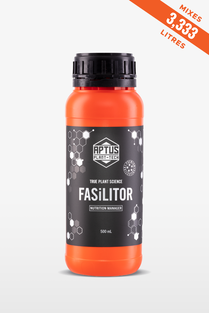 Fasilitor