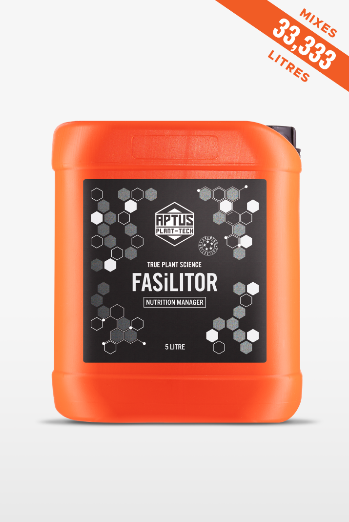 Fasilitor