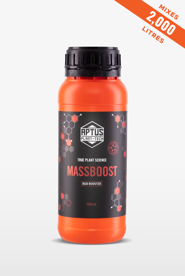 Massboost