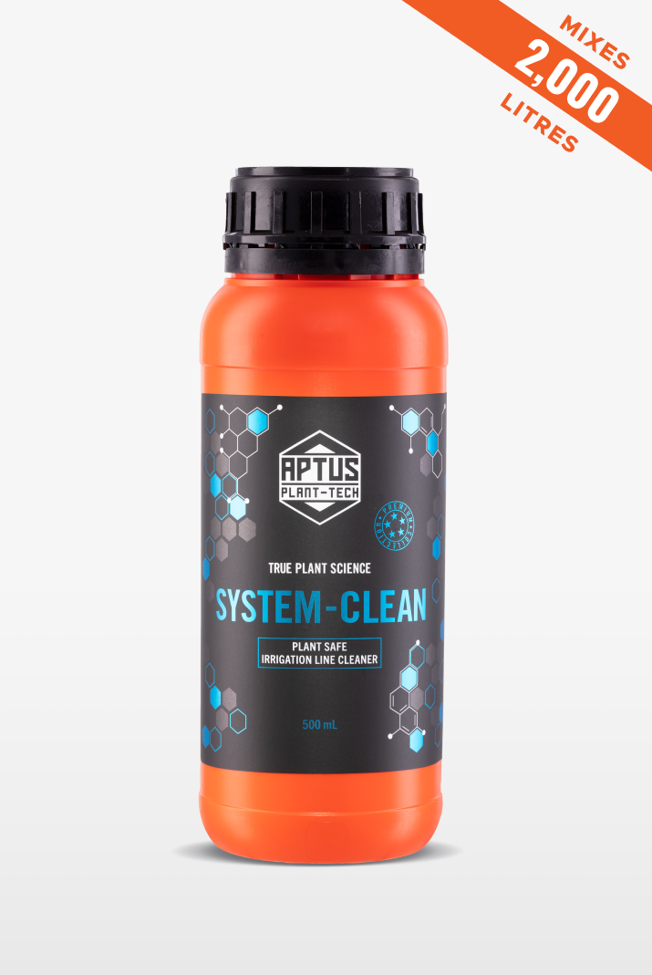 System-Clean